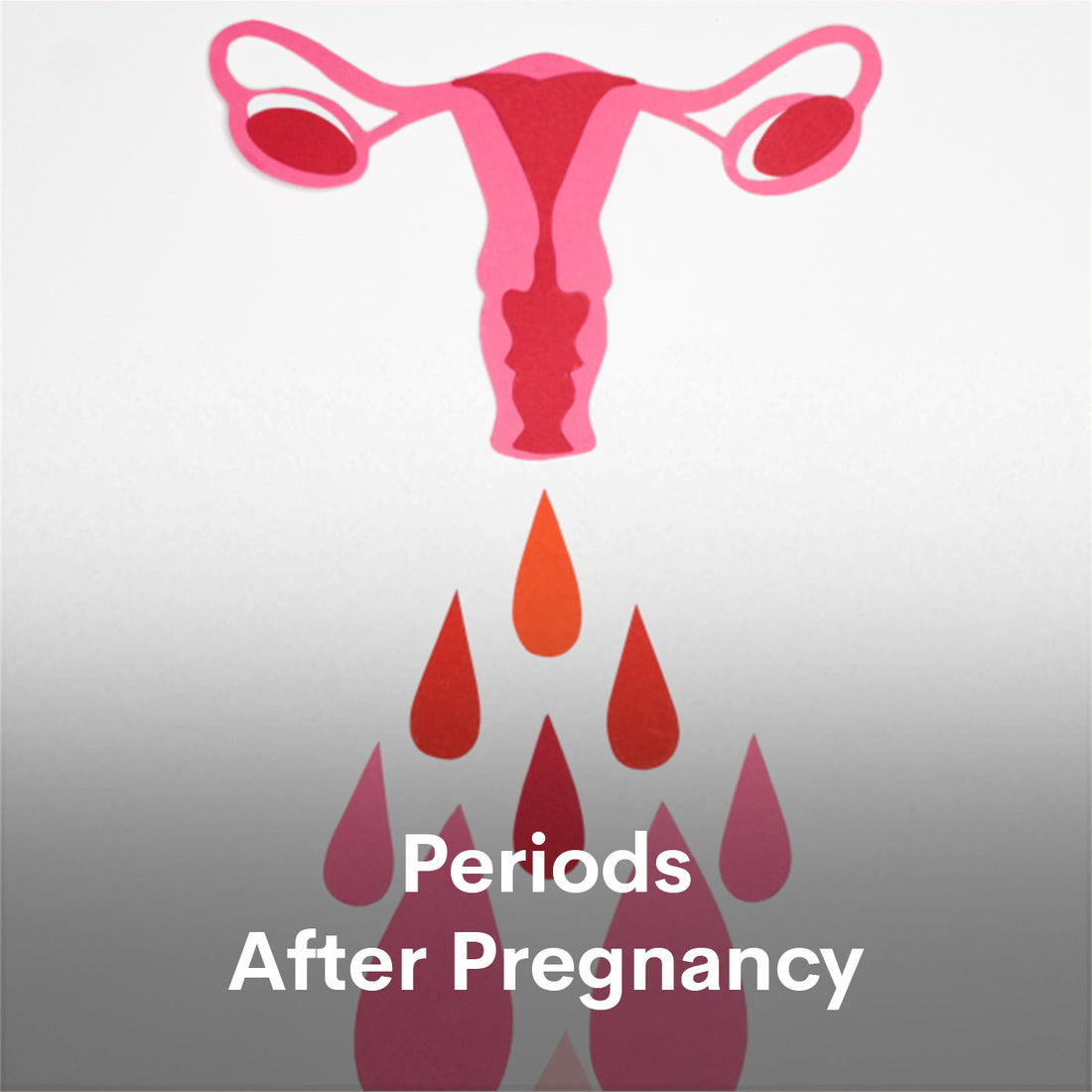 Periods After Pregnancy